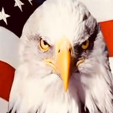 Reality__cheQ's profile picture. 