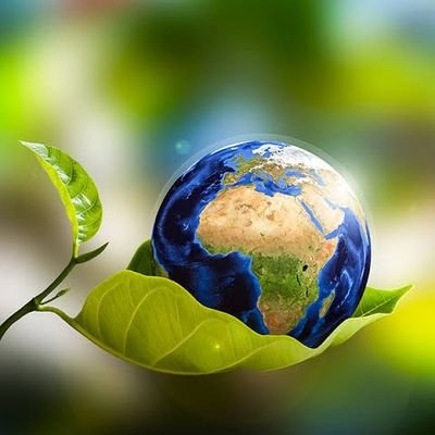 DeoxyFed's profile picture. Environmental Scientist | Climate Activist #member @cceai_africa

Tel: +256780999787
Email: juliusdeoxy@gmail.com