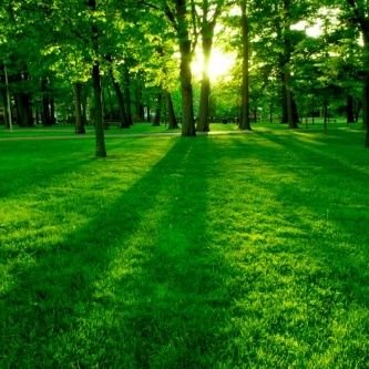 rayanabbasi2014's profile picture. 