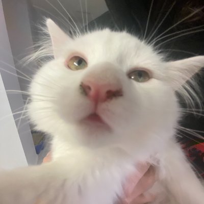 WeebyFadora's profile picture. ❤Married❤ 
🦀Cancer🦀
🦄LOVES PINK AND CUTE THINGS🦄
🍃Stoner Friendly🍃💨
👩🏼‍🦳21👩🏼‍🦳