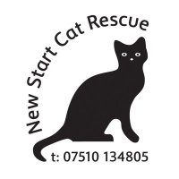 New Start Cat Rescue🐾💜🐾 (@newstartcats1) 's Twitter Profile Photo New Start Cat Rescue🐾💜🐾 (@newstartcats1) 's Twitter Profile Photo