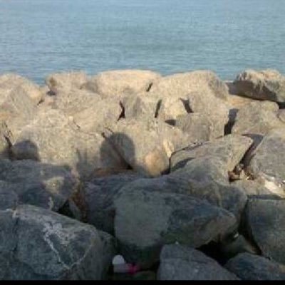al8blh_'s profile picture.