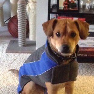 GiantTrader's profile picture. 