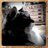 bruska74's profile image