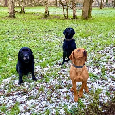 b_kayclif's profile picture. 