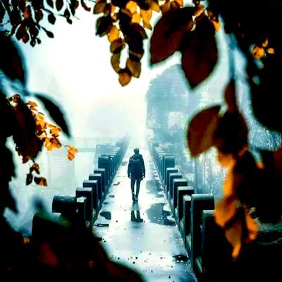 anas915126's profile picture. N71.  MS4