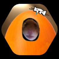 Eggs(@AnEnjoyed) 's Twitter Profile Photo