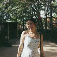 sumi (@froggfairyy) 's Twitter Profile