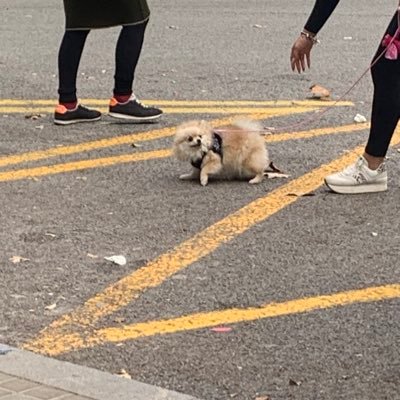 yikes_sherry's profile picture. full-time boop