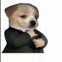 Singlebquilla (@nuimerio) 's Twitter Profile
