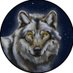 Jaxon Wolf Studio (@BCSHEF) Twitter profile photo