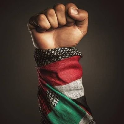 abokyankyan4's profile picture. 