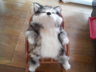 skunopp's profile picture. (｀ω´)Mr.Children、andymori、 小山田壮平、最高！！ いつも最低、いつも最低、最高、最低！！