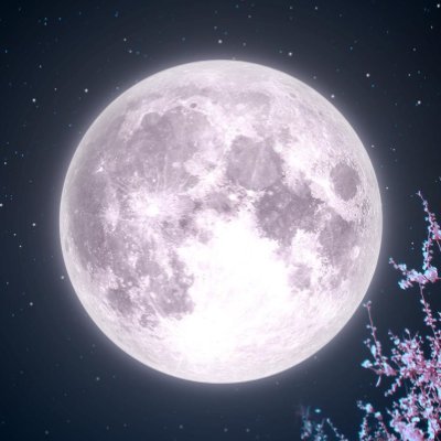 ALEMさんのプロフィール画像