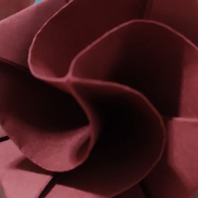 koviander's profile picture. 