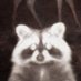 ⭐️simon! 🫂🍉⭐️⭐️ (@ratinagluetrap) Twitter profile photo ⭐️simon! 🫂🍉⭐️⭐️ (@ratinagluetrap) Twitter profile photo
