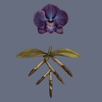 San Fermin (@sanferminband) 's Twitter Profile