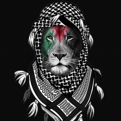 Ev3rPalestine's profile picture. When your compass 🧭 is calibrated directions 🗺 become irrelevant! 
#Cybersecurity #Security_Researcher #Ethical_Hacker