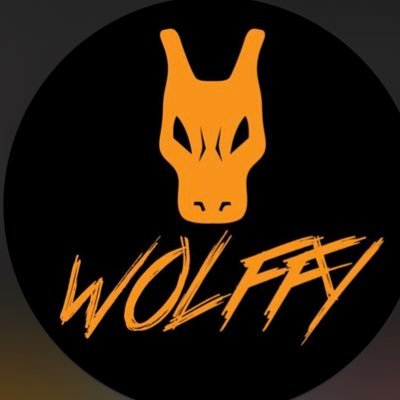 Wolffy_collects's profile picture. cs enjoyer