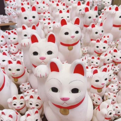 #仏門の世界へ#修行から帰りました#LINE初期化 #無言フォロー失礼します お金の勉強🔰シングルマザーでもやりたい事はやる!即行動!子どもの事も常に全力投球。米国株、暗号資産、ETF!ドローン!ゴルフ!#元教習所技能検定員#尼僧