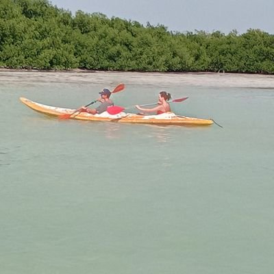 joseduende's profile picture. 