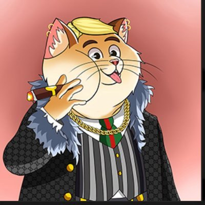 peterjorda93395's profile picture. 🇩🇪 UX Designer @AccentureSong