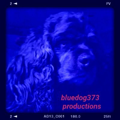 X page of bluedog373 Productions  Home to Backyard Bob the Intuitive, +political satire, Eyes On The Scene, Fred & Leo, Automotive videos + firearms & tools.