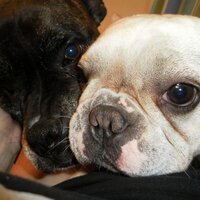 Christopher Major (@carstanos) 's Twitter Profile