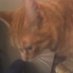 John C Bortz (@cjohn27235) Twitter profile photo