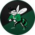 LINCOLN HORNETS FOOTBALL (@THEHIVEFB) Twitter profile photo