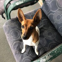 Kit Kat (@kath_keaton) 's Twitter Profile