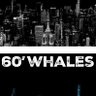 60whales's profile picture.