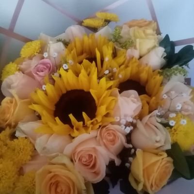 San98meji's profile picture. Lunita 🌚 || Follow x Follow ✨
Si lo quieres trabaja por ellos ❤️