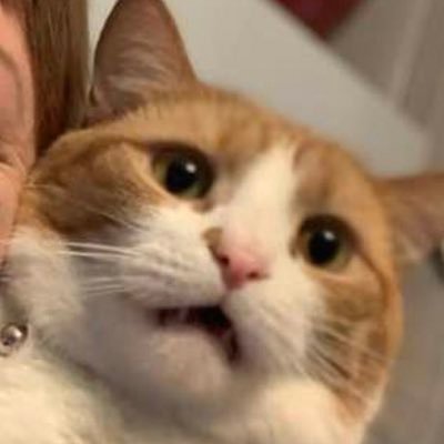 aakashabc09's profile picture. Laugh till your guts out 🧑