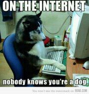 240907021984's profile picture. 