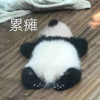 Suri22961440's profile picture. 