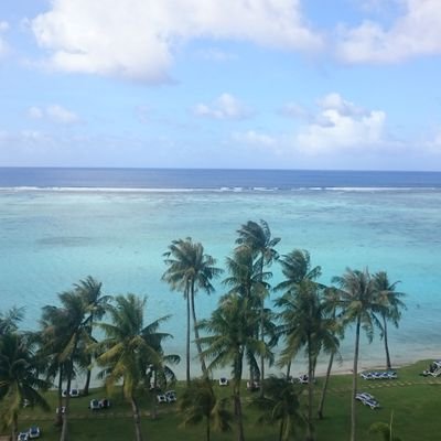 fukukitare55's profile picture. 動物/競馬🐴/海🏄️/料理/プロレスファン3年生。推し→NOAHのOZAWA選手、サイモンゴッチ選手、遠藤哲哉選手、永尾颯樹選手、上村優也選手、武豊騎手、北村友一騎手🫶