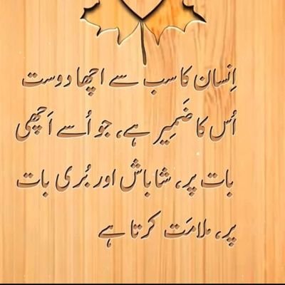 zebsindhi's profile picture. 