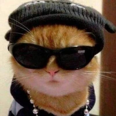 YuliTS13's profile picture. Don't Blame me🏹
im just a girl who loves TS🫶
• Evermore girl • Folklore stan ~

 quacks🪷🎟