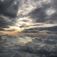 Aleja. (@alejaaaxx_) 's Twitter Profile