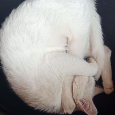 vali97419's profile picture. 