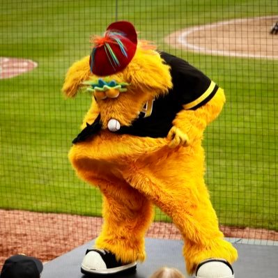 I'm just your average Golden Locotami. Visit my instagram page party_with_loco and remember, ALWAYS BE LOCO @altoonacurve