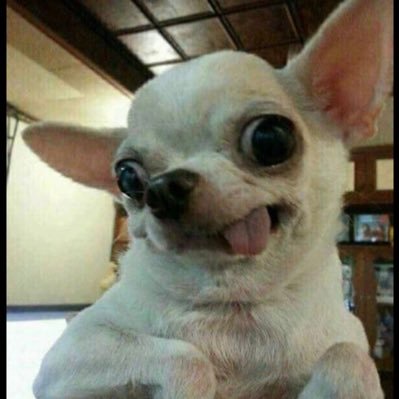 salmon911021's profile picture. 