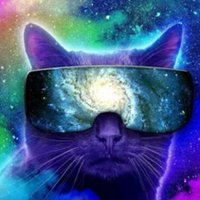 Cat2023❤️Memecoin (@cat2023t) 's Twitter Profile