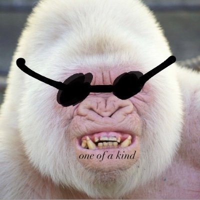 ItalianLichKing's profile picture. 