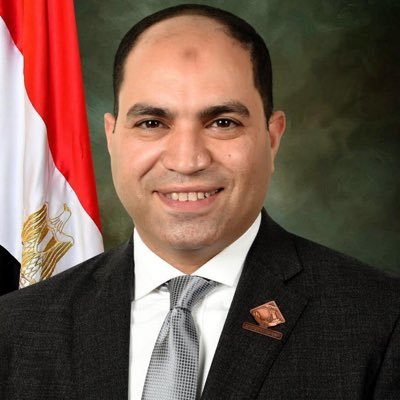 عضو مجلس النواب المصري - عضو تنسيقية شباب الأحزاب والسياسيين