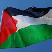 notyourpleaser's profile picture. Animal liberation! | Atheist | Liberals = Fascism enablers |
Zionists = Nazis | Gender = misogyny, sexism, homophobia
Pronouns in bio = antifeminist #sexmatters