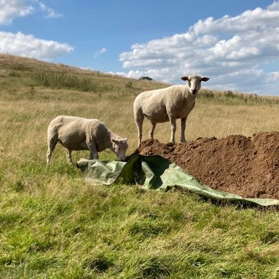 sarah_history's profile picture. Historian, community archaeologist, family tree research, and Computing teacher, LBDAHS Archaeologist. Wing Heritage Group. BA Hons, MA History.