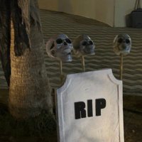 meme (@memmiitto) 's Twitter Profile