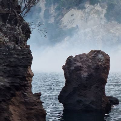 bolucare's profile picture. 